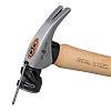 Hickory Rip Claw hammer, 20-Ounce